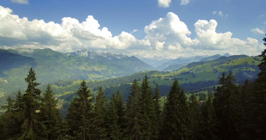 Stock Video Footage - 4K and HD Video Clips | Shutterstock