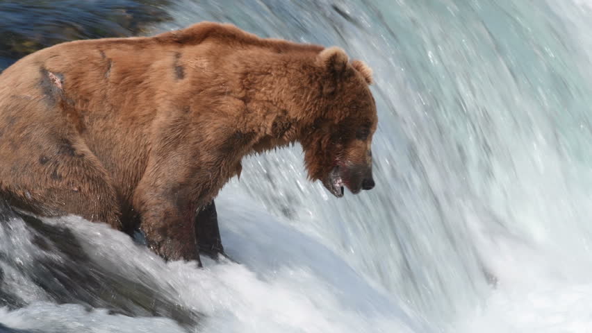 Alaska Chief Falls waterfall