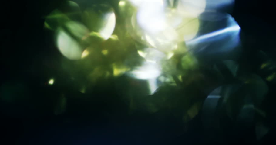 Header of 98