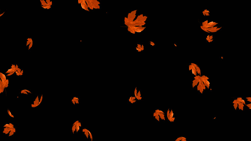 Falling Fall Autumn Yellow Leaves Flowing On Wind And Rotating In Slow ...