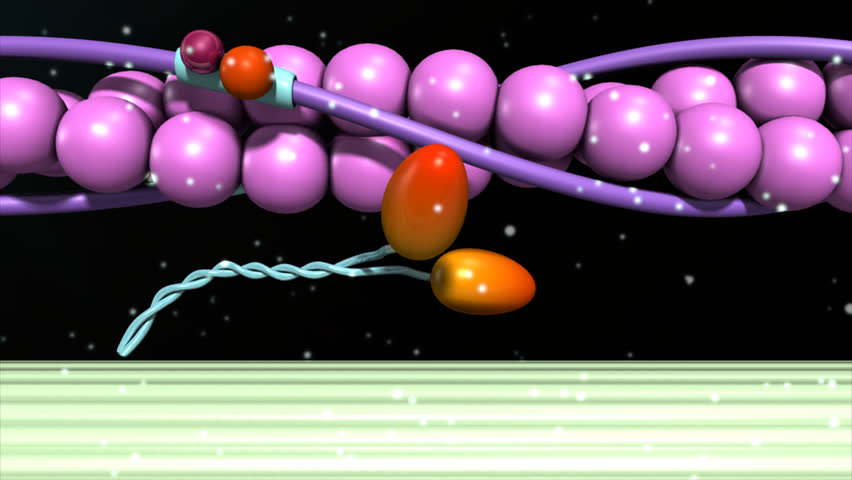 Header of calcium