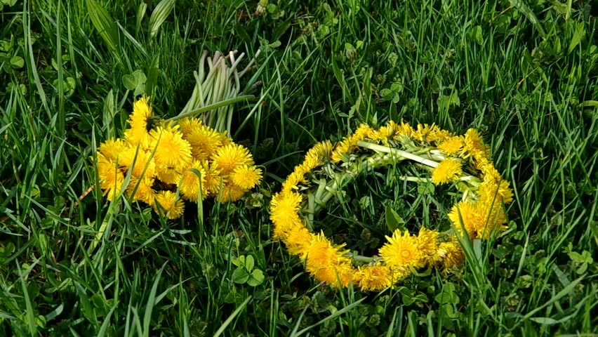 Как нарисовать венок из одуванчиков