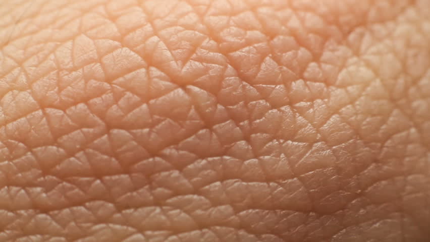 Human Skin Texture Stock Footage Video | Shutterstock