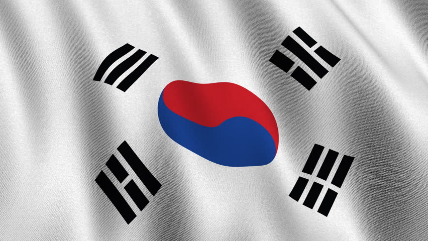  Flag  of South Korea  Waving Stock Footage Video 100 