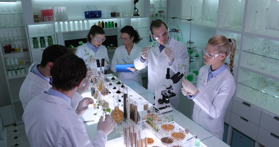 Lab team. Lab team. White lab team lab. Фото тим лаб. Тим лаб галерея.