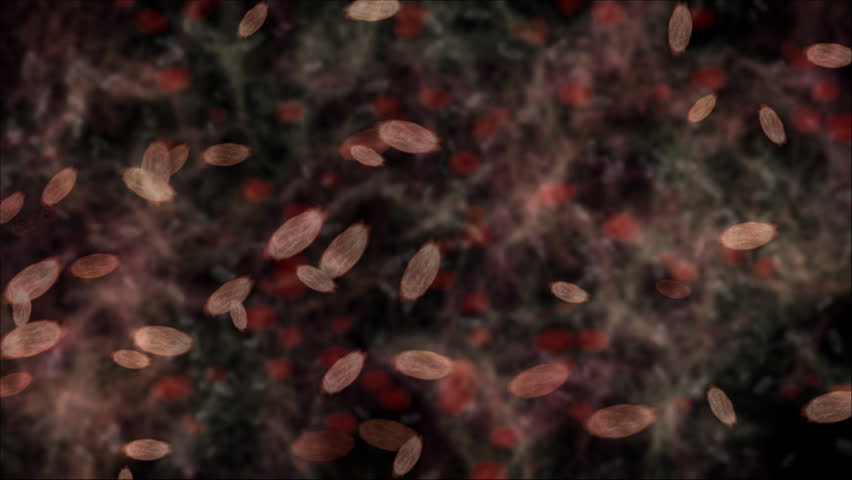 Stock video of germs or bacteria or microbes moving | 2611097