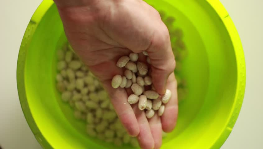 Image result for soyabean eating