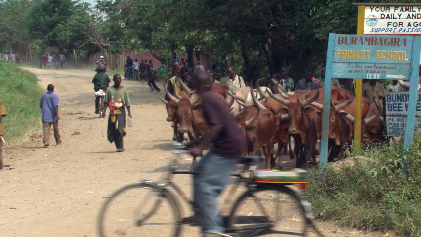 Header of Fulani