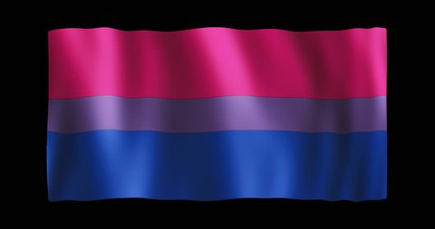 Lgbt Bisexual Flag Stylized Nonrealistic Waving Stock Footage Video (100%  Royalty-free) 26858527 | Shutterstock