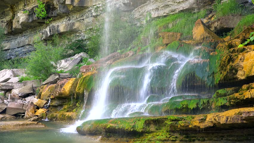 Header of musky