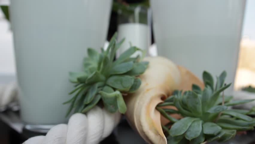 Tall White Vases With Palm Leaves And Leafless Branches Green