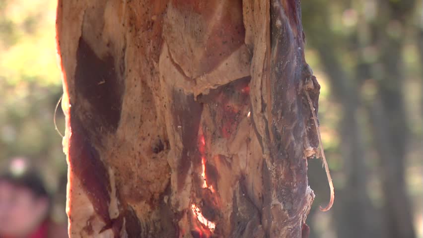 Header of venison