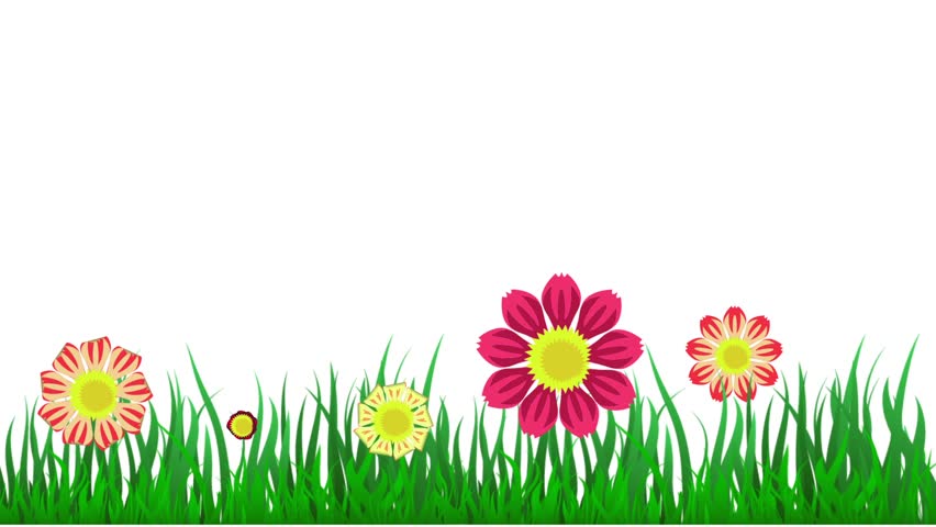 Video Animation Floral Background Waving Stock Footage 