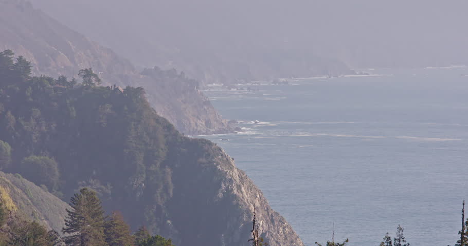 Header of nepenthe