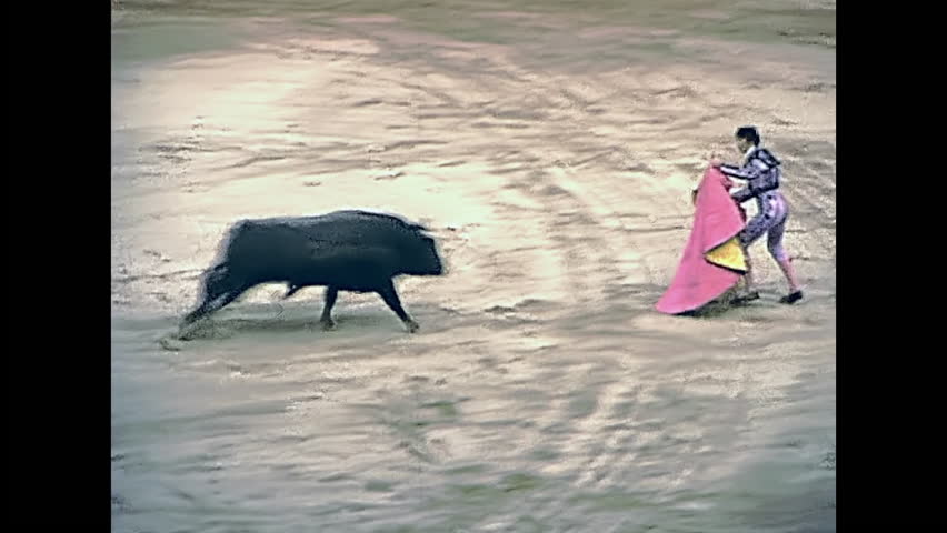 Header of banderillero
