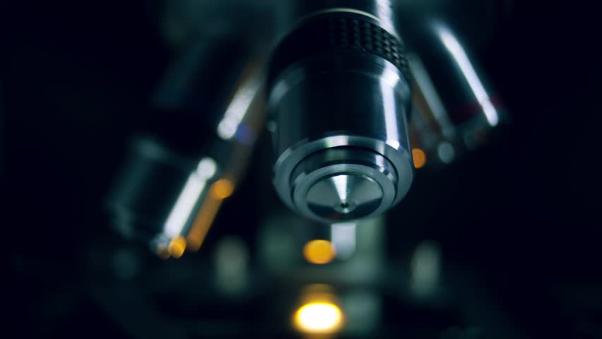 Header of clinical