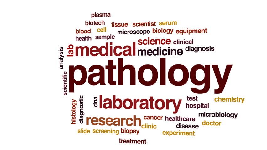 Pathology Animated Word Cloud Text Design Animation Stock Footage