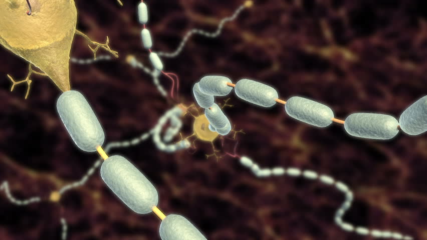 Header of Action Potential