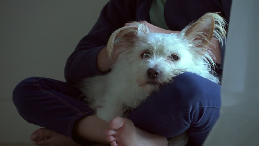 Header of scruffy