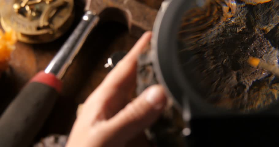 Header of fossil