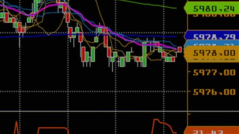 Candlestick Charts On Dark Blue Background For Stock Trading Or Business Ideas - 