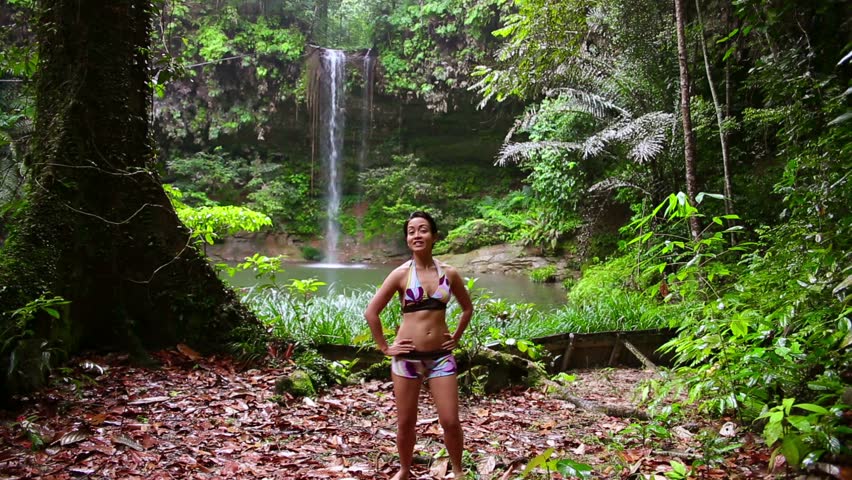 rainforest background