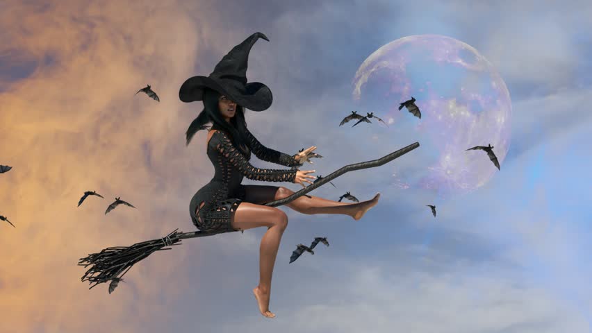 Witch Broom Stock Footage Video | Shutterstock