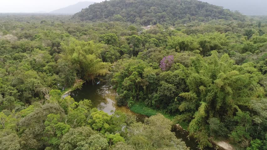 Header of south