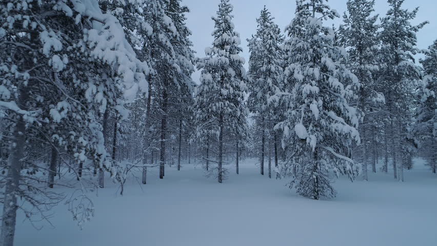 People Going Up On Hoist Through Dark Forest In Winter Mountains Stock ...