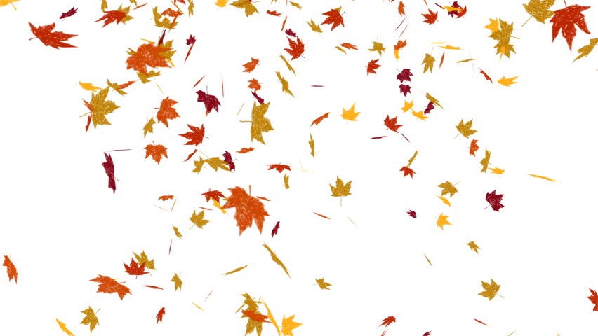 Animation Of Falling Autumn Leaves Stock Footage Video 31820767 ...