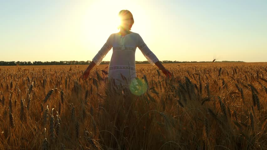 Field walk. Девушка с пшеницей в руках. Пшеничное поле девушка в шляпе спиной.