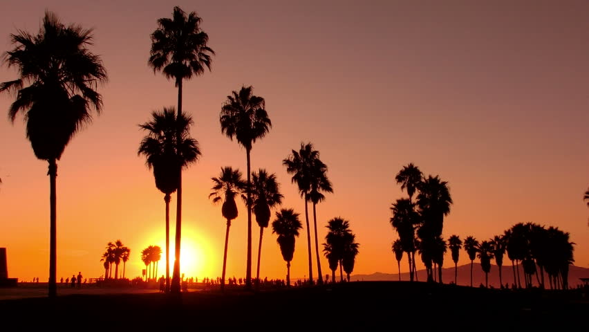 Visually Similar Footage Hd0024Sunset Beach 07 Silhouette Venice California Visually Similar Footage Hd0024Sunset Beach 07 Silhouette Venice California