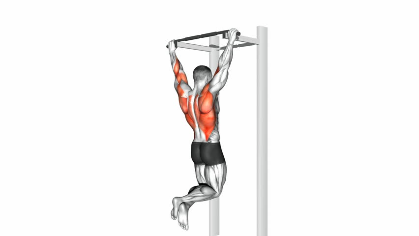Header of pull up