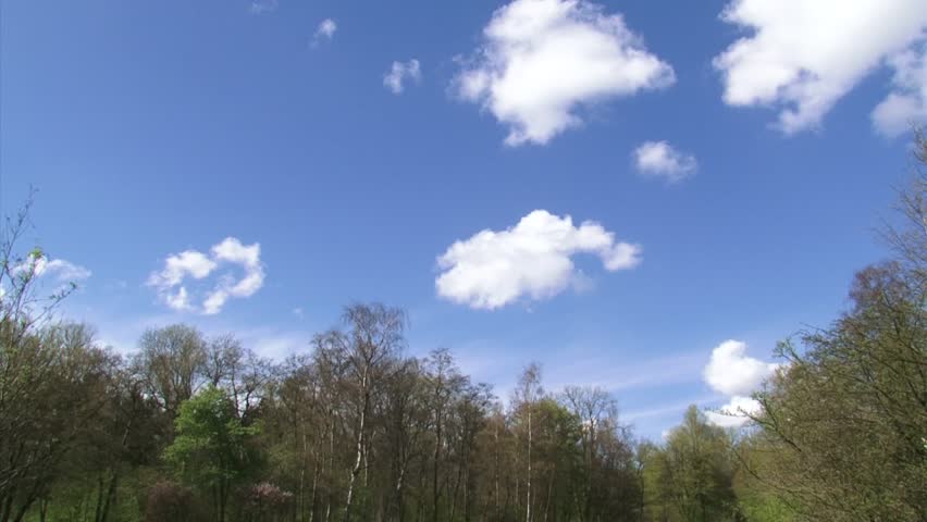 Stock video of deciduous trees in spring + pan | 3392387 ...