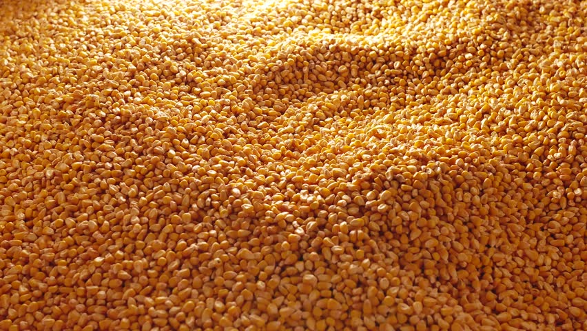 Header of mordant
