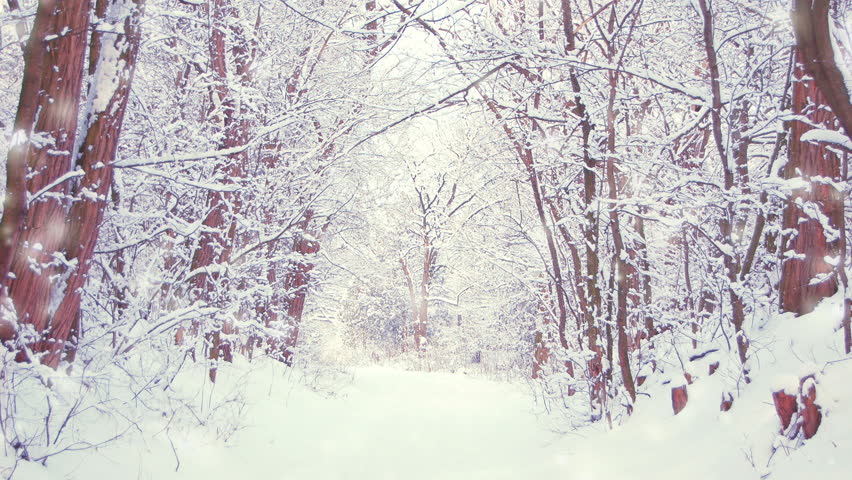 Wintery Background Stock Footage Video | Shutterstock