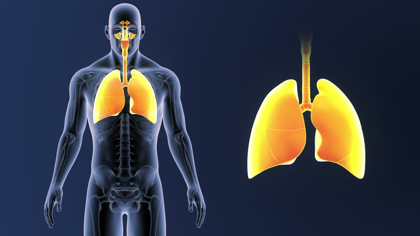 Mucus filling up lungs