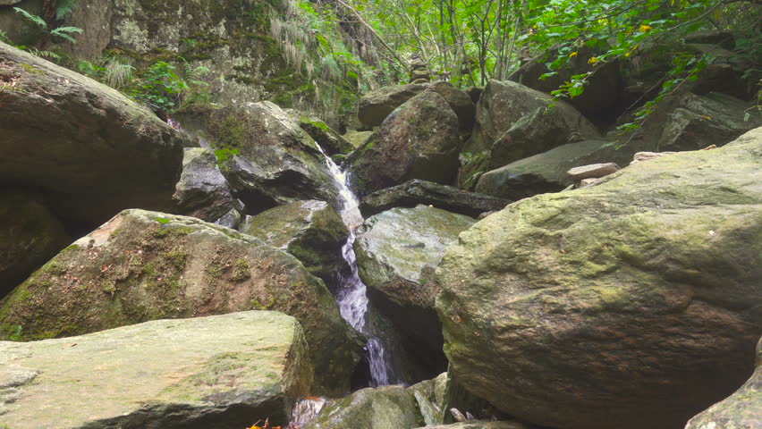 Small Waterfall In The Forest And Water Flowing Through The Rocks ...
