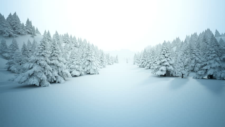 Winter Snow And Forest And Trees Image - Free Stock Photo - Public 