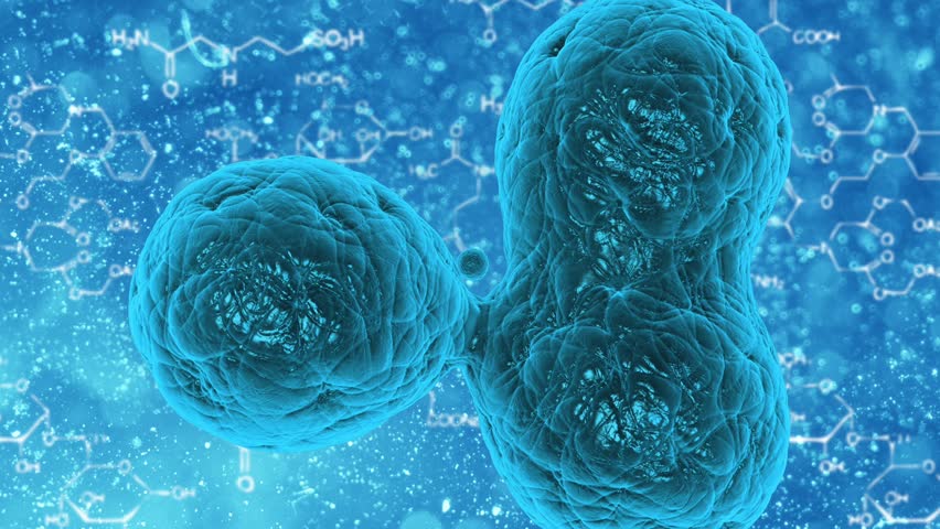 Prokaryotic Cell Stock Footage Video | Shutterstock