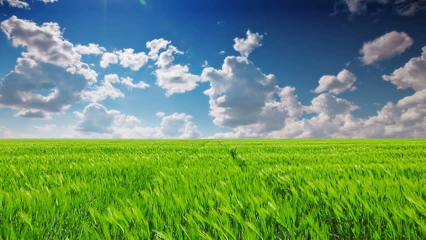 Header of field