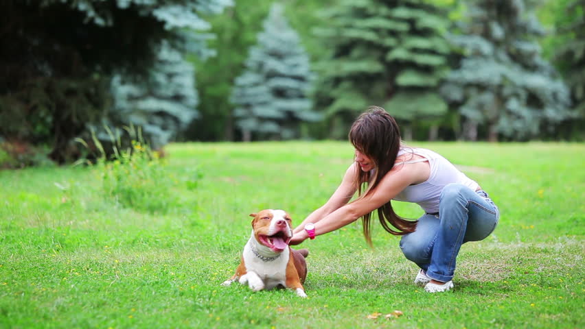 Woman With Her Beautiful Dog Stock Footage Video 100 Royalty Free   1 