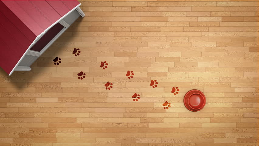 Dog Paw Prints Reaching For Stock Footage 100 Royalty Free Dog Paw Prints Reaching For Food