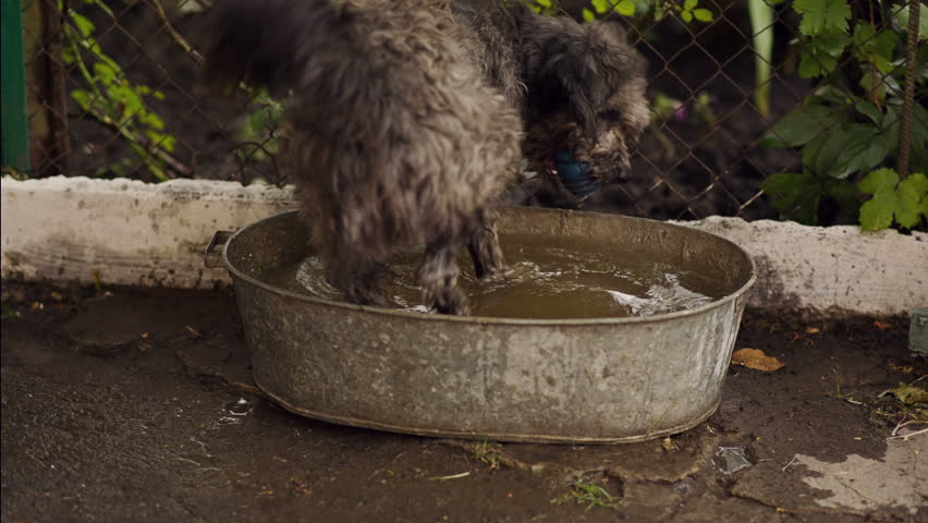 Header of washtub
