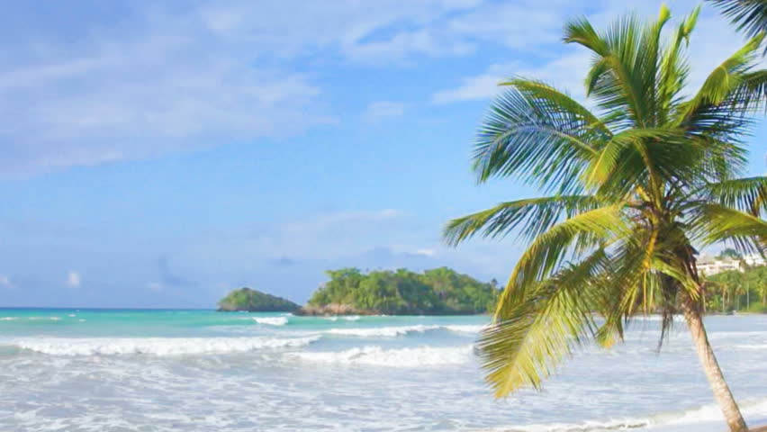 Movie Tropical Paradise