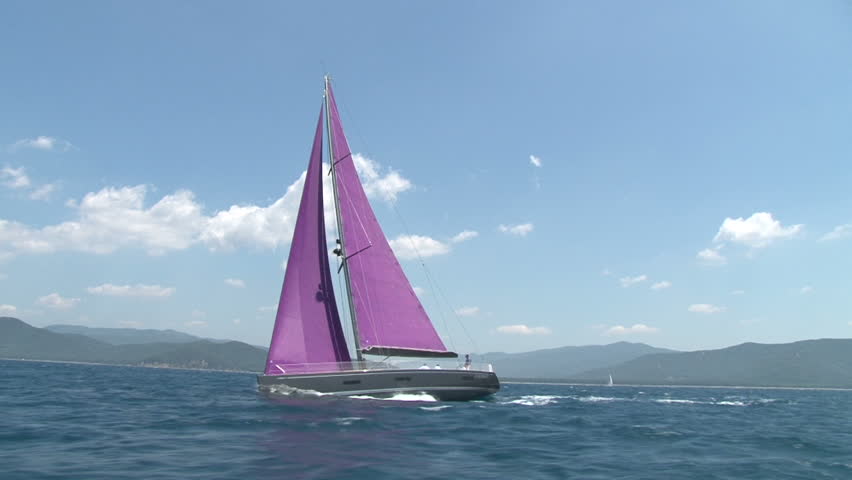 Purple sail