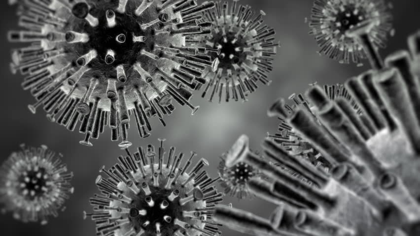 Вирус гриппа под. Вирус h5n1. Вирус гриппа h5n1. Вирус гриппа под микроскопом h1n1.