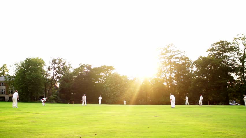 Header of cricket