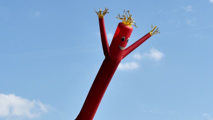 Image result for wacky inflatable tube man