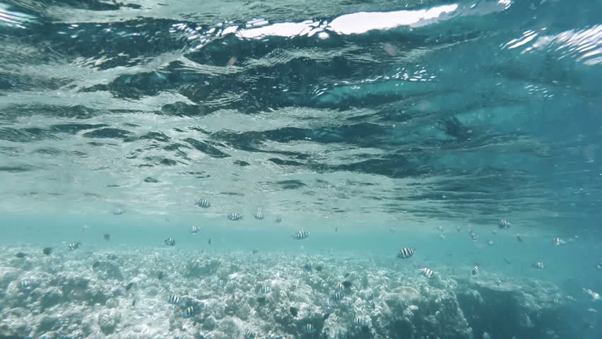 Wonderful Under Water Ocean Wave Video Animation, Loop HD 1080p Stock ...